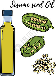 油套 手绘矢量图 芝麻油 用于化妆品或食品 素描风格矢量有机食品插画叶子艺术草图烹饪收藏瓶子黑芝麻绘画厨房雕刻图片