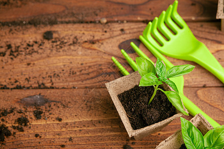 园艺工具和顶视图 园艺人生长幼苗植物手套花艺栽培花园树叶存货植物群图片