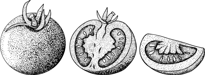 手绘西红柿 用西红柿的切片和分支设置草图 孤立在白色背景上的矢量图解 写实植物食物蔬菜墨水宏观饮食绘画水果刷子烹饪市场图片