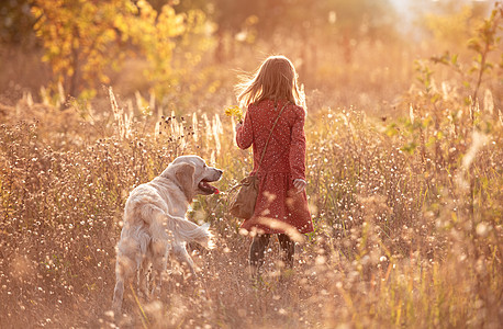 秋天生养狗的小女孩吨位猎犬褪色金子季节娘娘公园风景阳光晴天图片