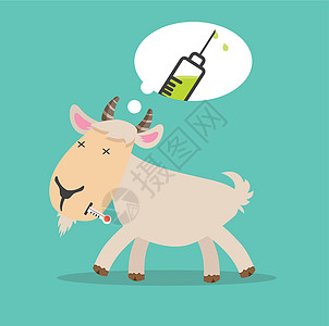 生病的山羊猪流感疫苗图片