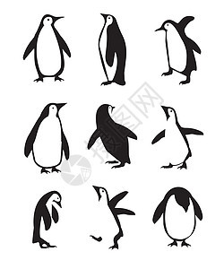 企鹅图标 不同的气载矢量集图片