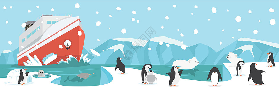 冬季北极北极 有动物景观背景的北极地区图片