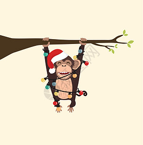 带帽子的猴子圣诞树爬树图片