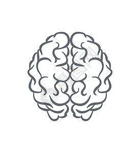 人类大脑轮廓矢量图片