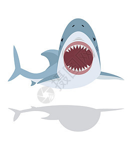 鲨鱼张开嘴和牙齿图片