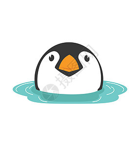水媒介中的企鹅头目婴儿图片