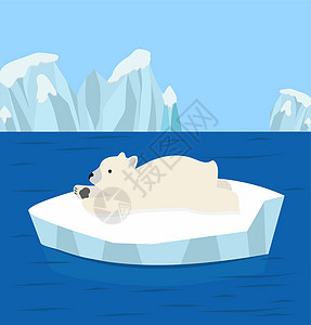 北极北极熊极地睡眠图片