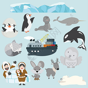 平板风格字符插图集Flat样式企鹅动物园婴儿哺乳动物孩子收藏绘画海象野生动物猫头鹰背景图片