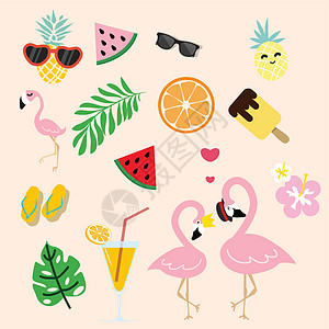 带热带夏季的可爱粉红色火烈鸟图片