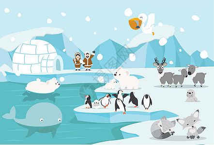 北极地区风貌表层婴儿野生动物冻结绘画海洋季节企鹅插图艺术哺乳动物图片