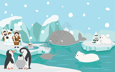 卡通野生北极北极动物图片