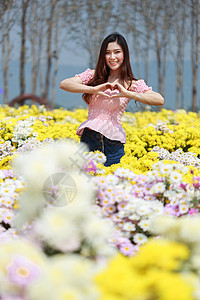 在菊花发光园中的美丽女子花园女性花店阳光微笑公园园丁成人幸福女孩图片