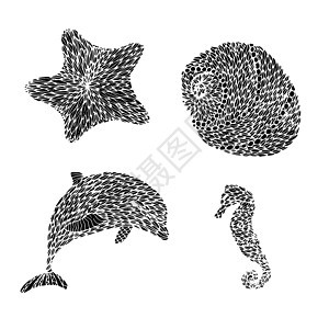 大海情调贝类草图海岸艺术螺旋热带旅游海马生物图片