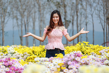 在菊花发光园中的美丽女子女孩女性花园阳光花店园丁公园微笑幸福头发图片