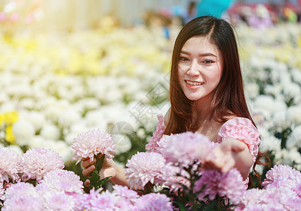 在菊花发光园中的美丽女子花店女孩微笑头发花园成人女性公园幸福园丁图片