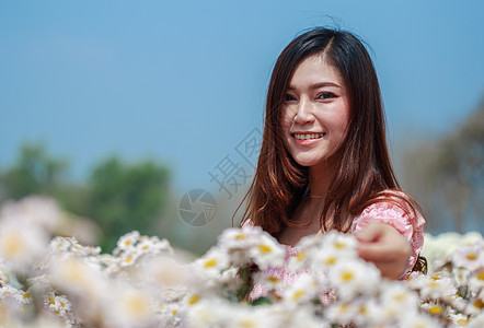 在菊花发光园中的美丽女子花园女孩微笑花店幸福公园女性阳光头发成人图片