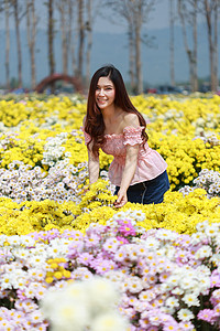 在菊花发光园中的美丽女子成人女孩女性花店阳光花园园丁头发幸福公园图片