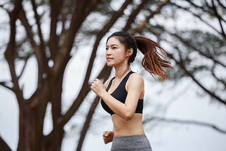 在公园中奔跑的健身妇女成人运动娱乐树木训练女孩赛跑者活动女士慢跑者图片