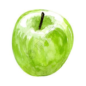 水彩应用白色插图创造力绿色营养食物饮食手绘绘画收成图片