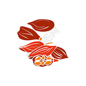卡尔卡蒙小豆蔻文化香气烹饪绘画种子红色白色芳香美食图片