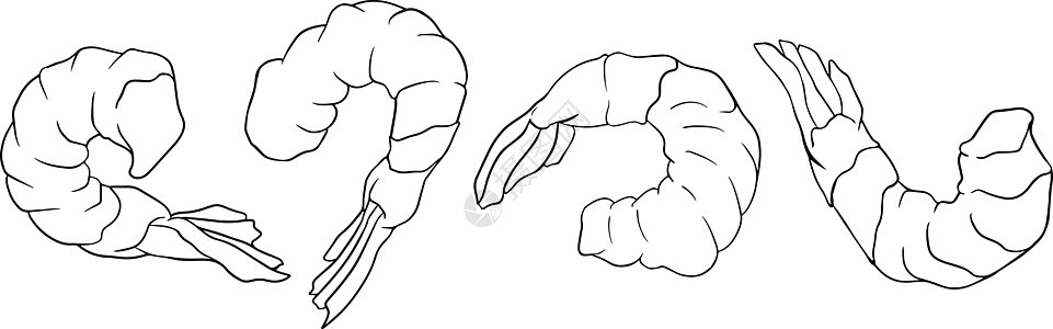 虾虾图标设置 收集无壳虾 逼真的矢量图着色页饮食插图市场炙烤老虎对虾营养海鲜尾巴标识图片