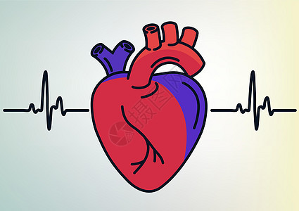 人体心脏器官轮廓图标 线性风格标志 心线艺术 矢量图形药品科学动脉肌肉心血管攻击生物学静脉插图身体图片