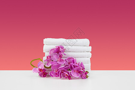 粉红背景的美丽的粉红色花朵和白毛巾织物纺织品棉布白色卫生温泉浴室花园紫色洗澡图片