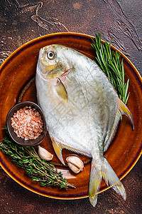 刚生的佛罗里达庞巴诺鱼 在锈土盘上 暗底背景海鲜鱼片鲳鱼营养桌子海洋食物黄色美食黑色图片
