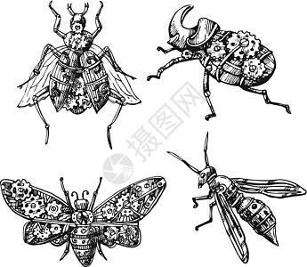 机械昆虫 手绘美丽的矢量图蝴蝶艺术漏洞动物齿轮技术金属海报机器人雕刻图片