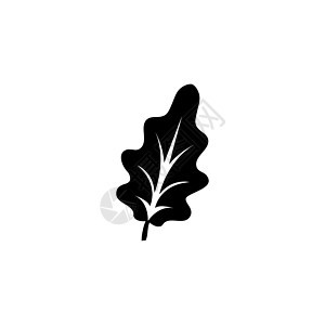 橡树叶植物树 平面矢量图标说明 白色背景上的简单黑色符号 用于 web 和移动 UI 元素的橡树叶剪影森林植物树标志设计模板图片