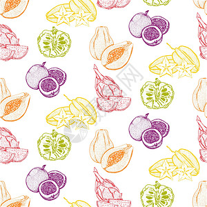 白色的各种热带异国情调水果的无缝图案 矢量水果图案纺织品绘画果汁植物叶子食物花园打印插图木瓜图片