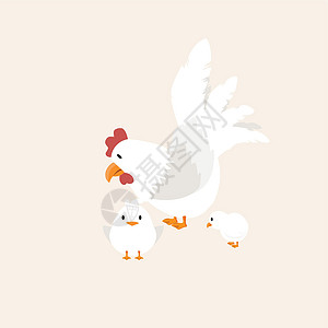 白母鸡与小鸟动物矢量图片