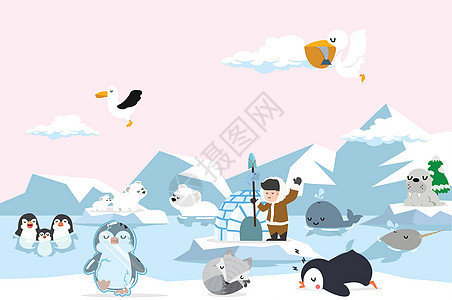 北极北极动物背景图片