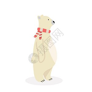 可爱北极熊北部动物高清图片