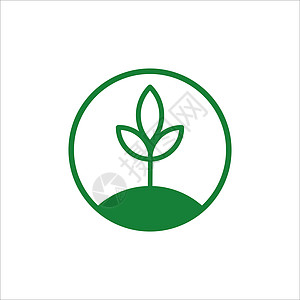 圆形矢量标志模板中的绿色植物 天然有机产品食品化妆品的抽象设计理念生物花园公司药品环境圆圈自然叶子生活品牌图片