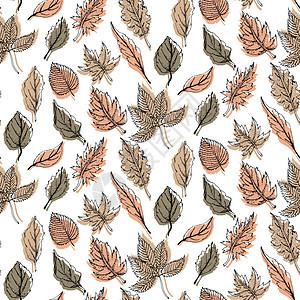 秋季季节无缝图案与秋天的叶子和花卉元素在秋天的颜色 矢量秋天插图感恩植物粉笔聚宝盆手绘庆典草图绘画花园卡片图片