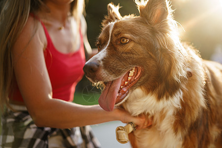 和女主人一起在公园散步的边境狗女性女士犬类宠物皮带友谊闲暇动物绿色日光图片