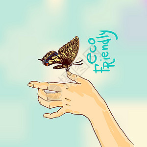 蝴蝶素描生态友好石墨涂鸦绘画团体翅膀动物邀请函昆虫昆虫学插图背景图片