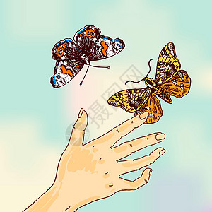 蝴蝶素描生态友好收藏插图昆虫邀请函生物航班团体手绘铅笔画涂鸦背景图片