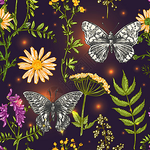 纺织品的波西米亚风格印花绘画草图蝴蝶植物野花框架装饰花园手绘花卡片图片