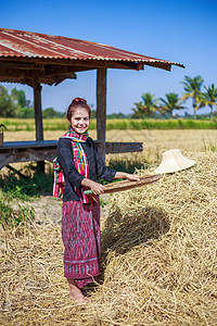 田间大米被打碎的农民妇女小屋植物女士收成传统食物农业场地栽培文化图片