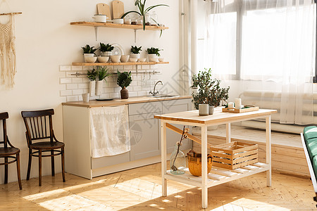 具有厨房配件和植物的时尚扫描仪开阔空间房间木头桌子奢华架子公寓房子建筑学沙发台面图片