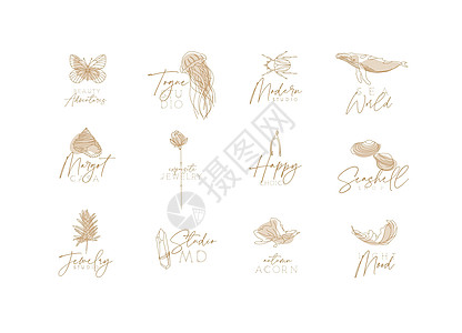 植物动植物群艺术 Deco标签水晶古董蝴蝶装饰横幅装饰品精品羽毛甲虫风格图片