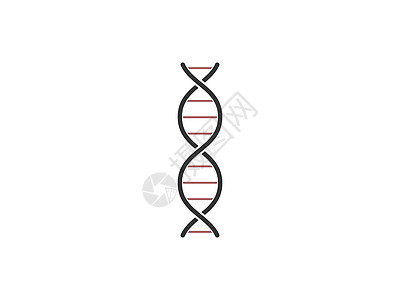 染色体 DNA 基因图标 矢量图解 平板设计基因组插图细胞遗传学技术生物学科学生活药品研究图片