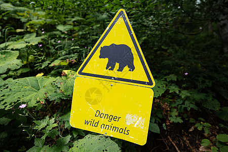 国家公园的路上有危险的熊标志图片