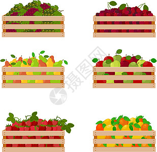 一套明亮的秋季套装 由装有成熟多汁水果的木箱组成 例如葡萄 樱桃 梨和苹果 草莓 橙子 孤立在白色背景上的矢量图解图片