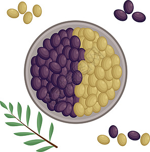 绿色和黑色的成熟橄榄放在圆盘上 旁边是绿叶橄榄枝 盘子周围放着橄榄 地中海美食 孤立在白色背景上的矢量图解图片