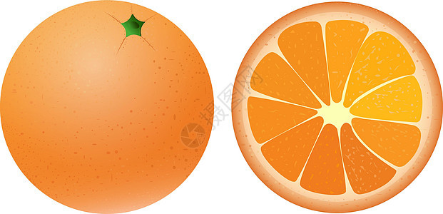 整形和片段有明亮的多汁橙色 夏季柑橘水果 用于新鲜果汁 矢量插图以白色背景隔离图片