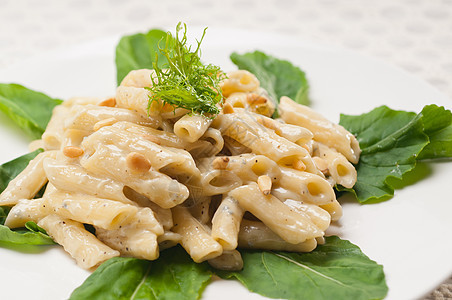 意大利通心粉戈贡佐拉和松子奶油坚果蓝色硬粒午餐干酪产品草药美食小麦图片